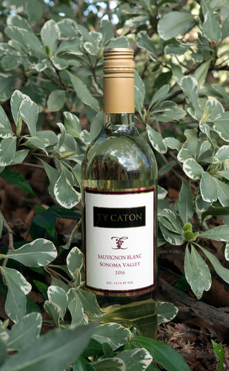 Ty Caton 2016 Sonoma Valley Sauvignon Blanc 750ml Wine Bottle