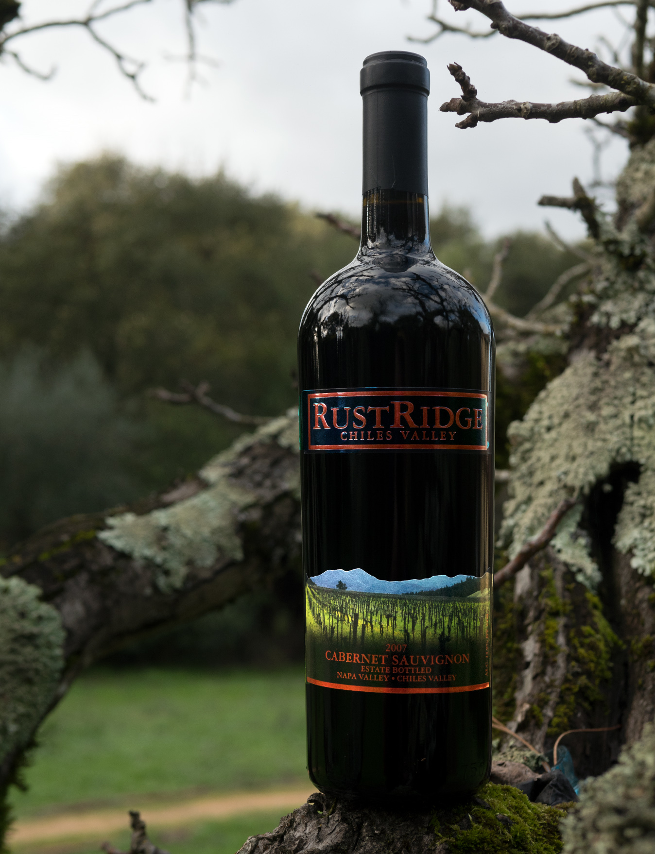 RustRidge Winery 2007 Chiles Valley Napa Valley Estate Bottled Cabernet Sauvignon 750ml Wine Bottle