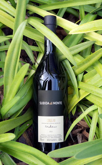 Subida di Monte 2015 Collio DOC Friulano 750ml Wine Bottle