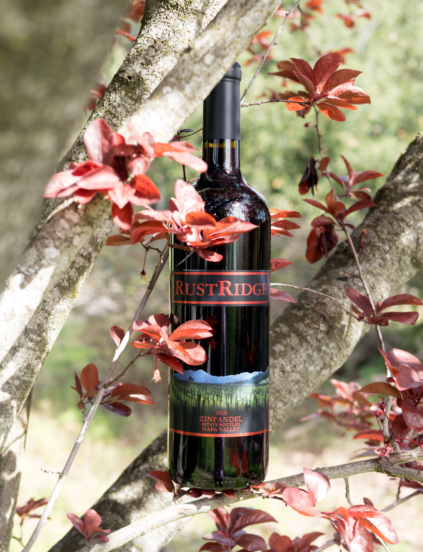 RustRidge Winery 2010 Estate Bottled Napa Valley Zinfandel 750ml Wine Bottle