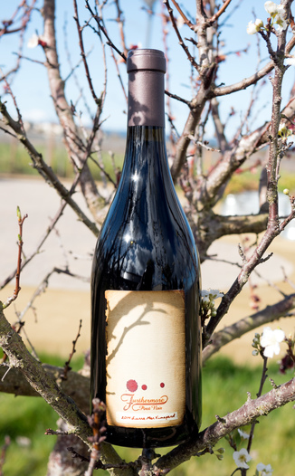 Furthermore 2014 Sierra Mar Vineyard Santa Lucia Highlands Pinot Noir 750ml Wine Bottle