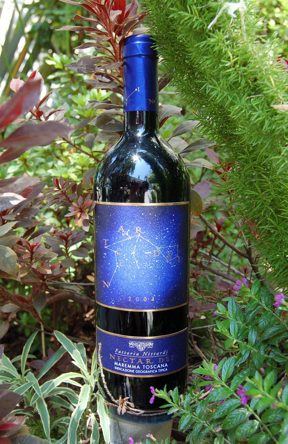 Nittardi 2004 Nectar Dei Maremma Toscana IGT 750ml Wine Bottle