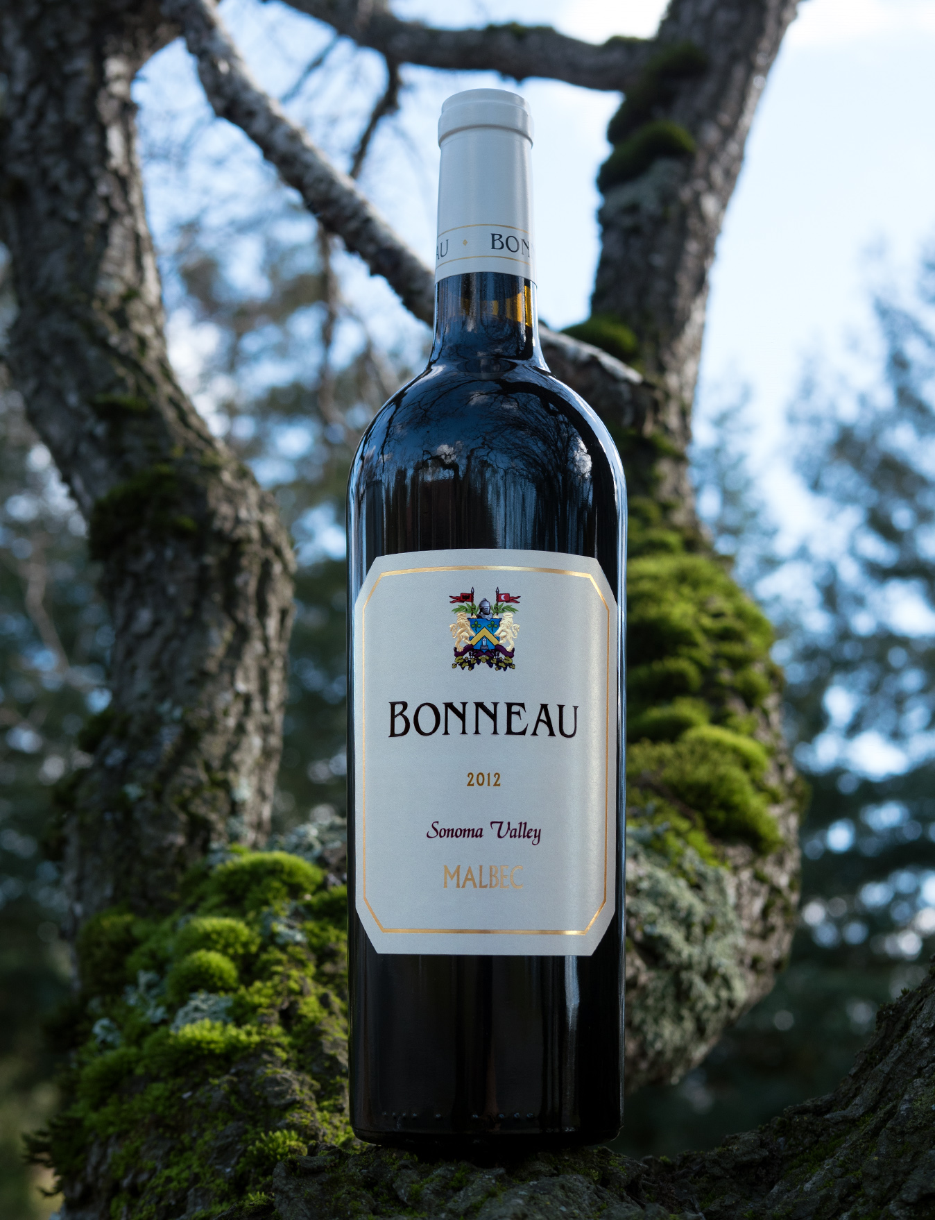 Bonneau 2012 Sonoma Valley Malbec 750ml Wine Bottle