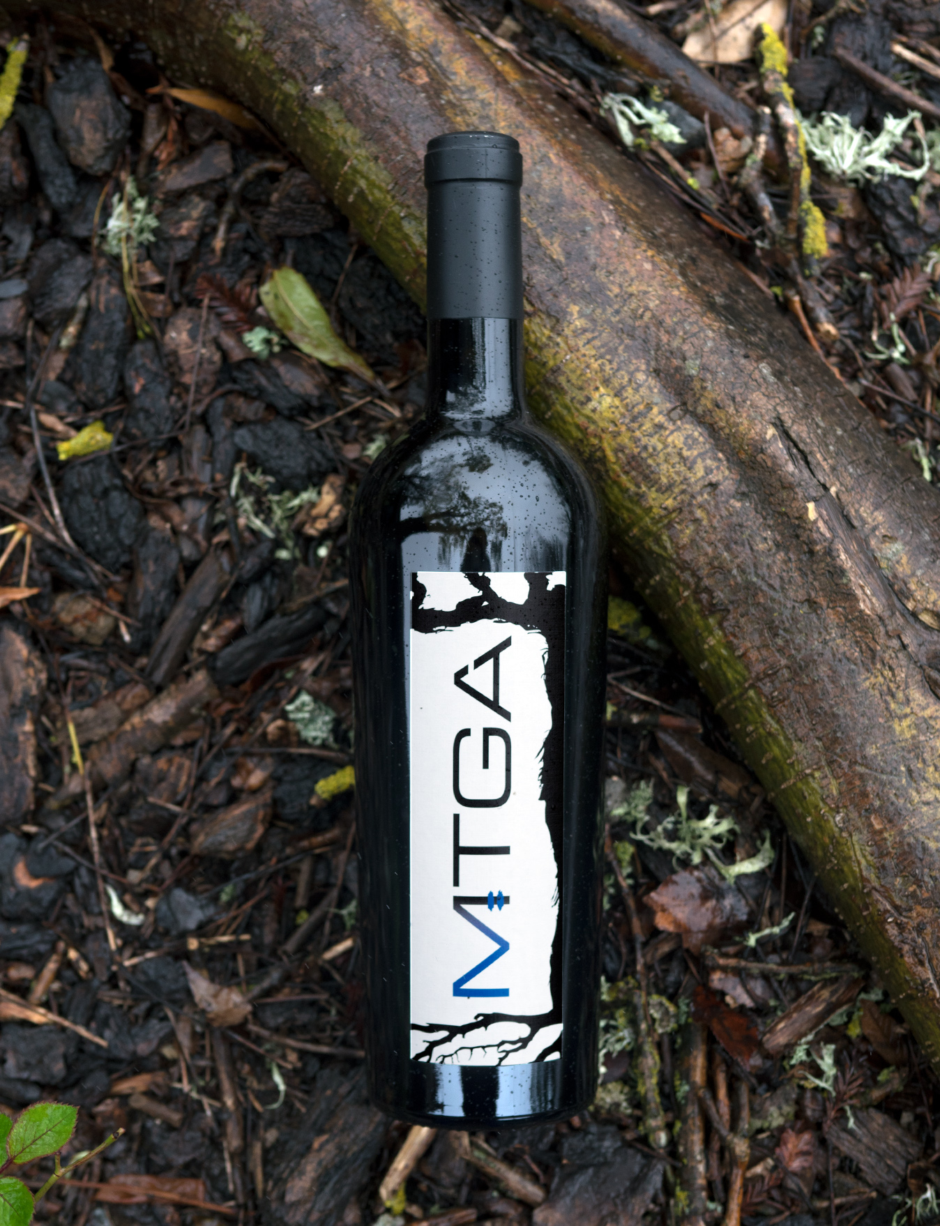 MTGA Wines 2012 Napa Valley Merlot 750ml Wine Bottle