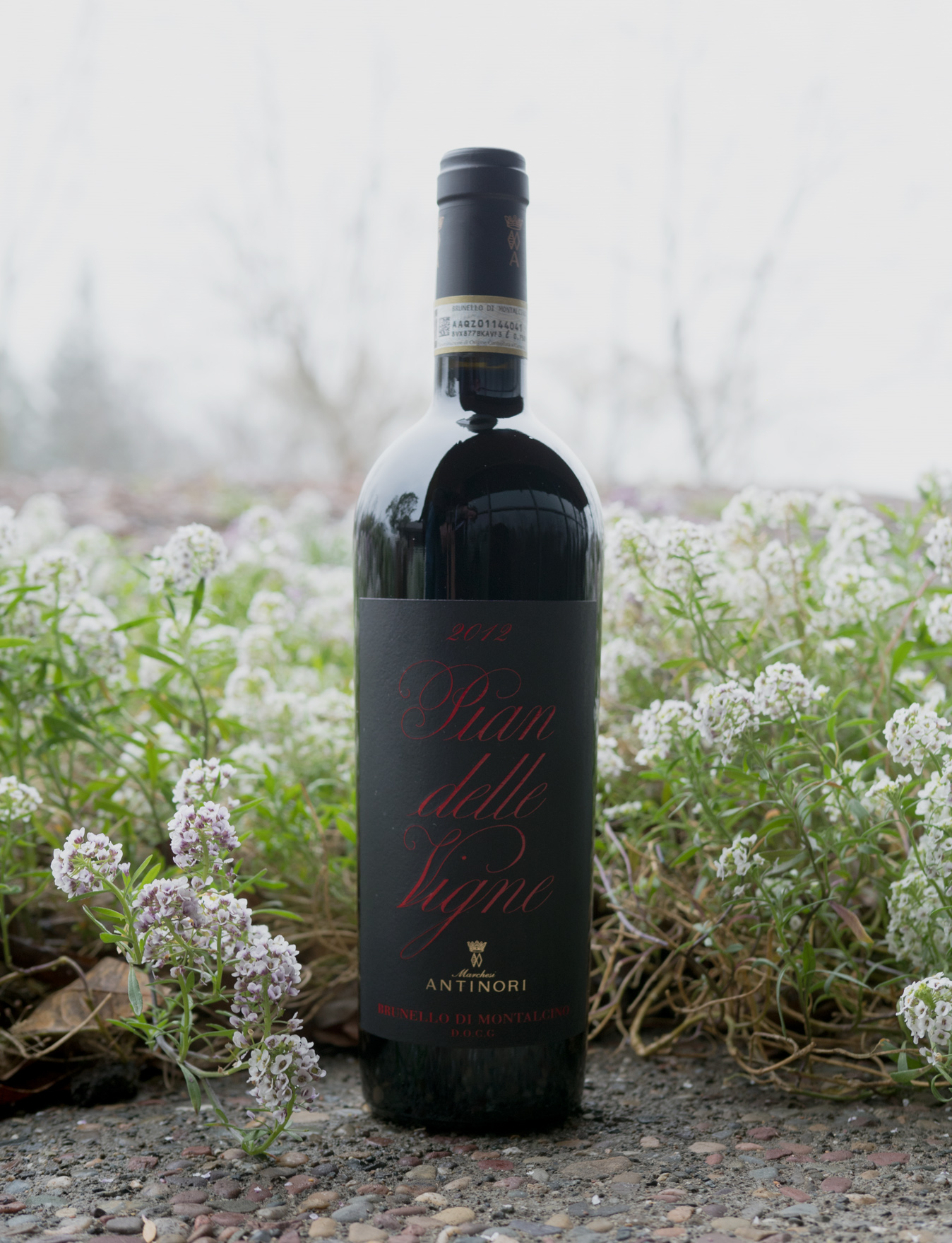 Marchesi Antinori 2012 'Pian delle Vigne' Brunello di Montalcino DOCG 750ml Wine Bottle