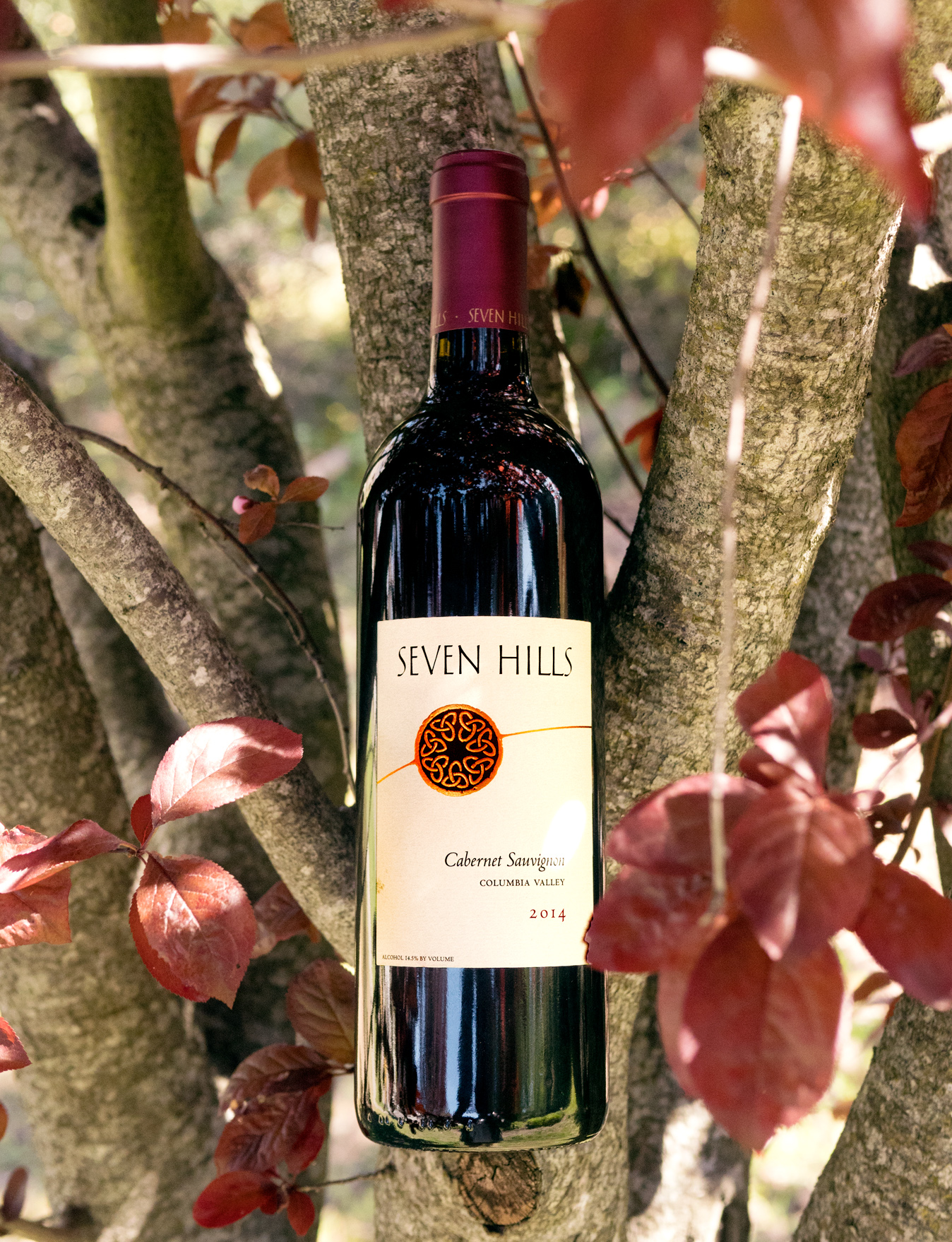 Seven Hills Winery 2014 Columbia Valley Cabernet Sauvignon 750ml Wine Bottle