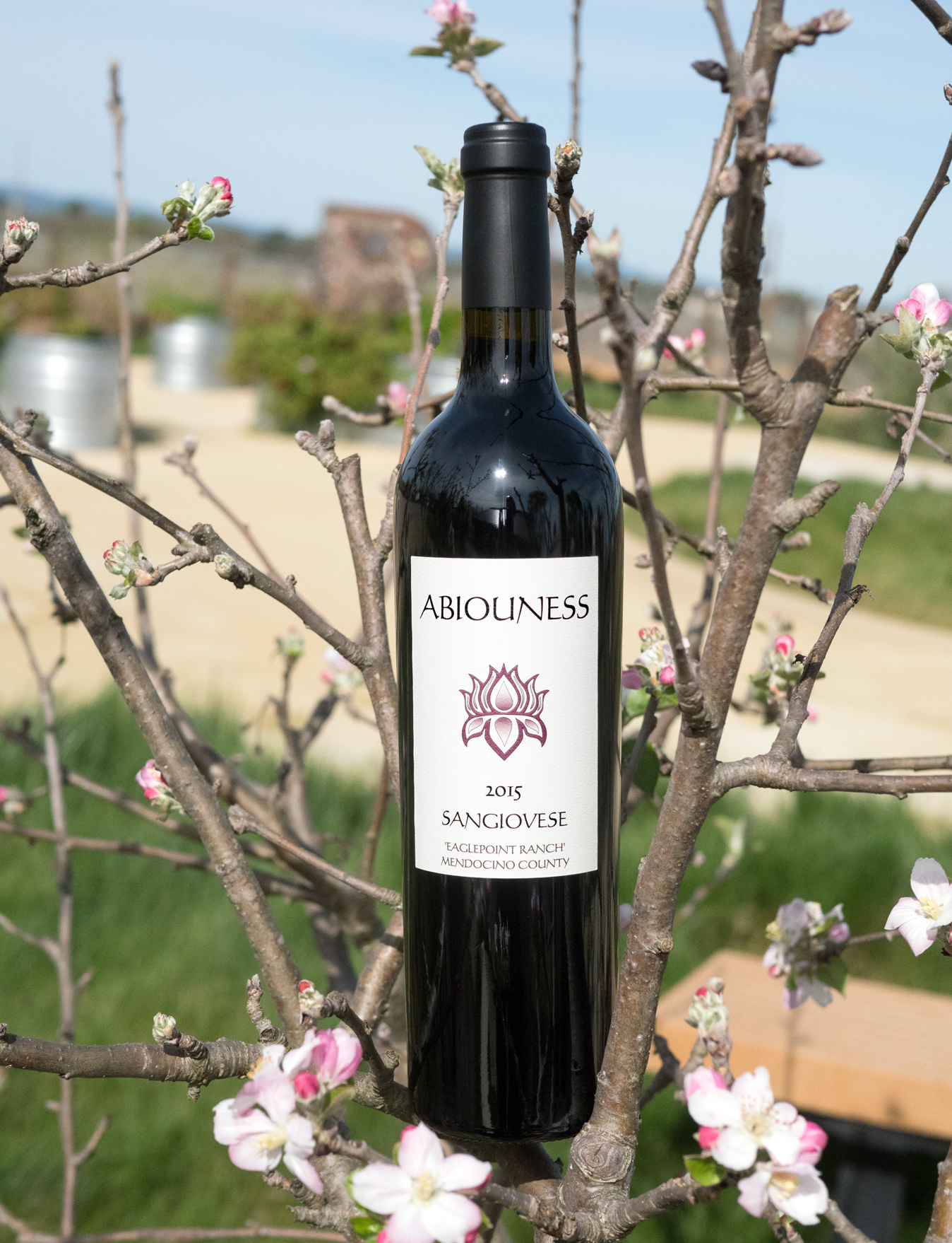Abiouness Wines 2015 Eaglepoint Ranch Mendocino County Sangiovese 750ml Wine Bottle