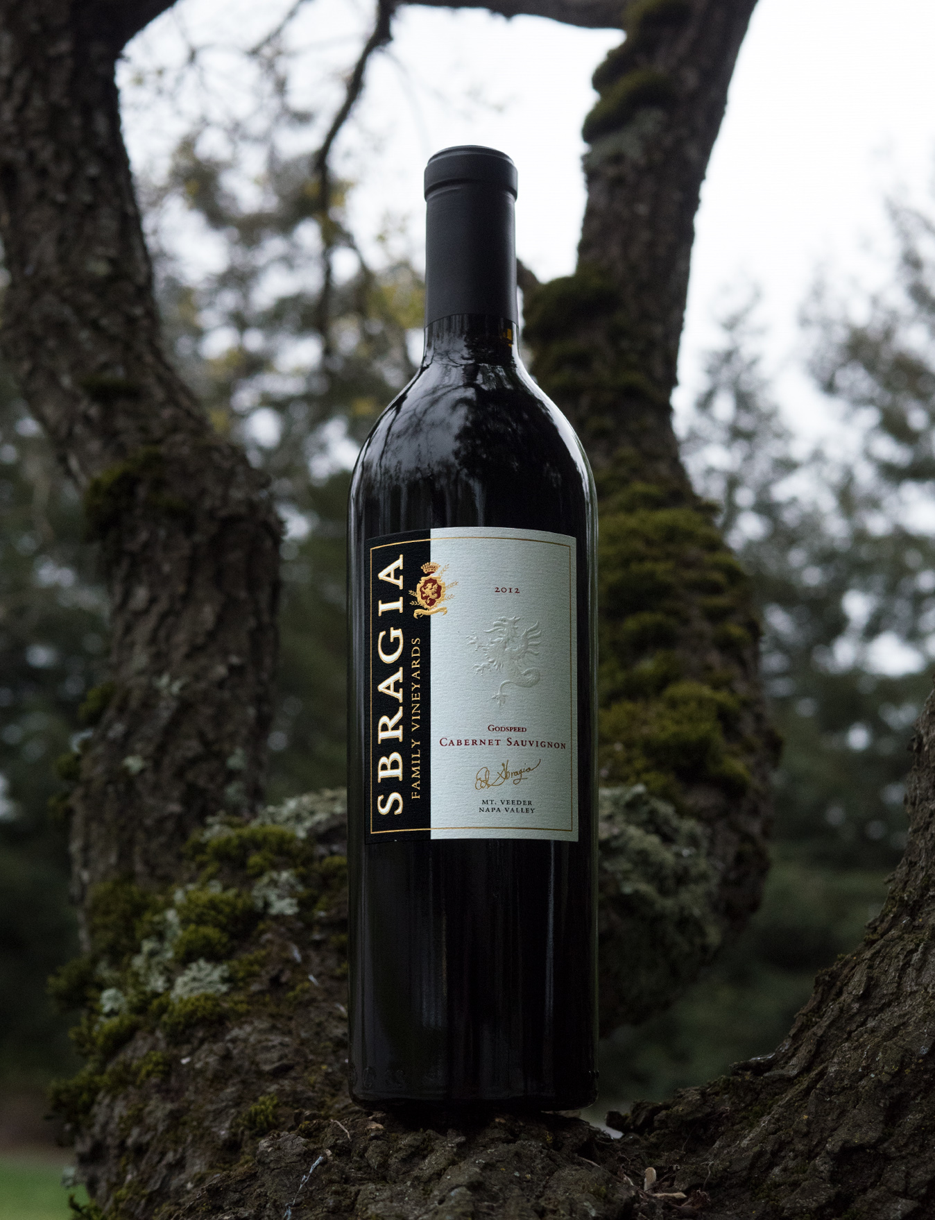 Sbragia Family Vineyards 2012 Godspeed Vineyard Mt. Veeder Cabernet Sauvignon 750ml Wine Bottle