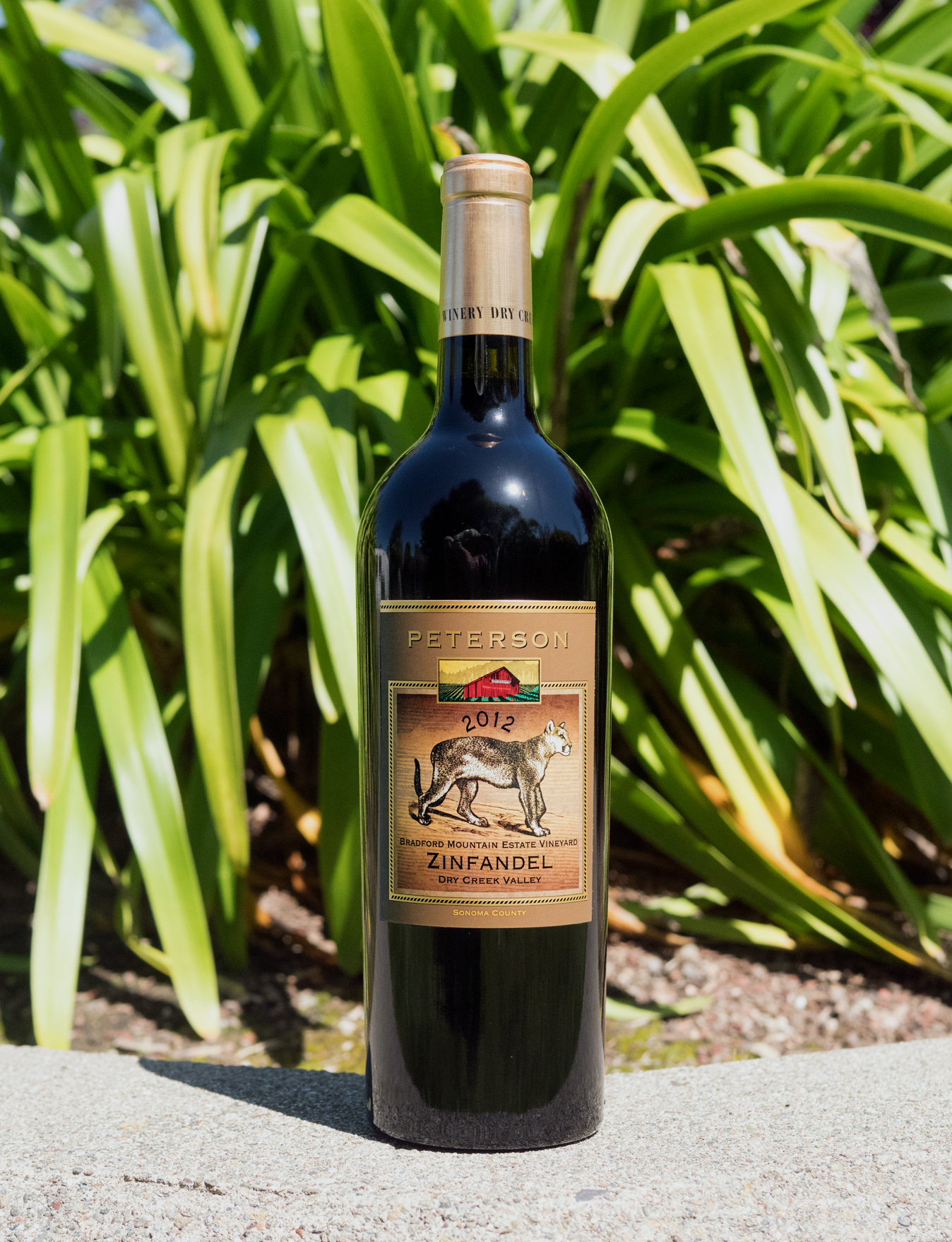 Peterson 2012 Bradford Mountain Estate Vineyard Dry Creek Valley Zinfandel 750ml Wine Bottle