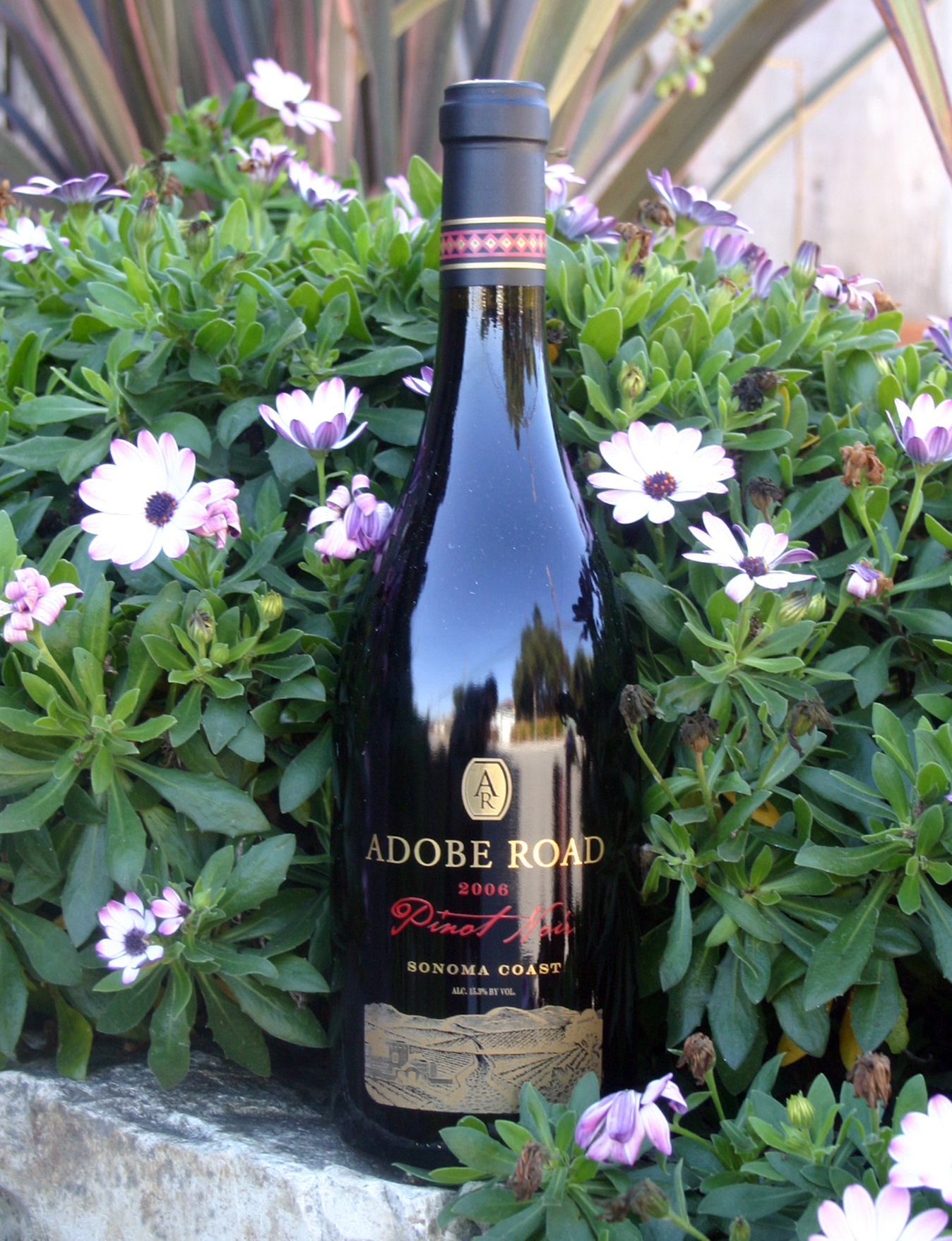 Adobe Road 2006 Pinot Noir 750ml Wine Bottle