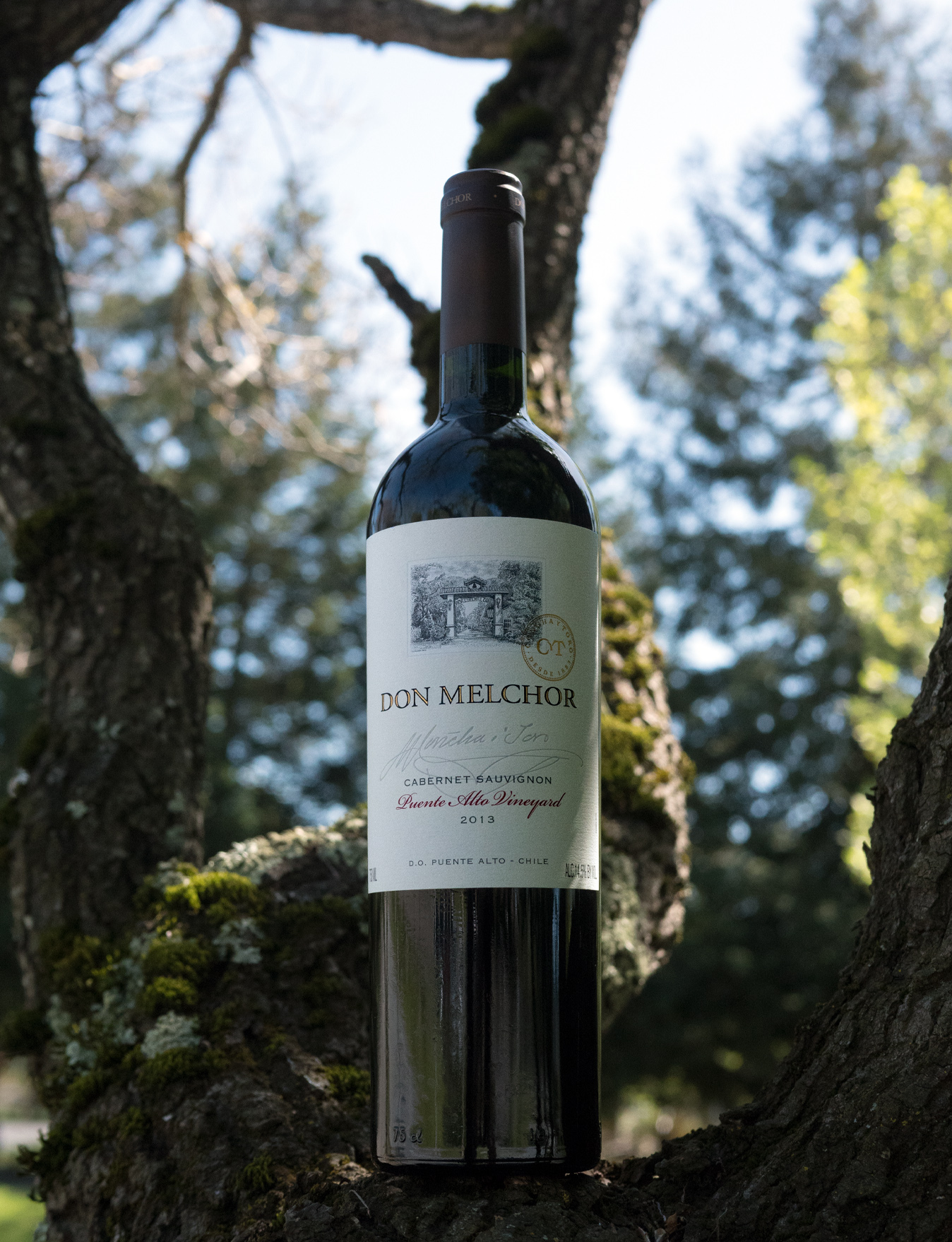 Viña Don Melchor 2013 Puente Alto Vineyard Cabernet Sauvignon 750ml Wine Bottle