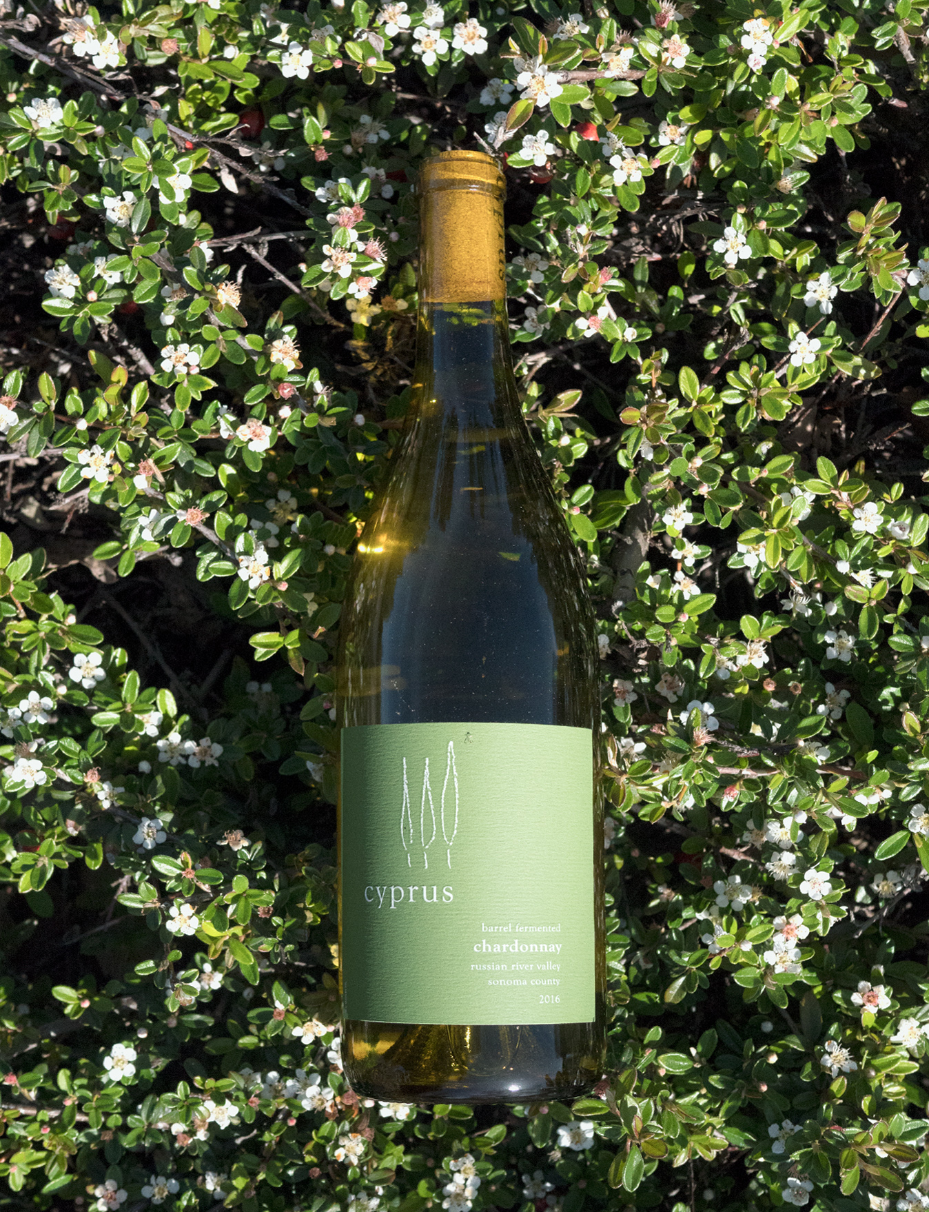 Cyprus Wines 2016 Barrel Fermented Russian River Valley Chardonnay 750ml Wine Bottle