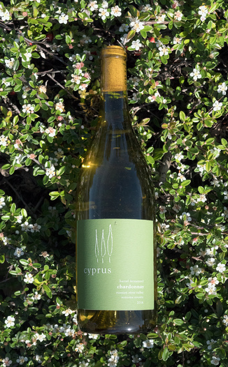 Cyprus Wines 2016 Barrel Fermented Russian River Valley Chardonnay 750ml Wine Bottle