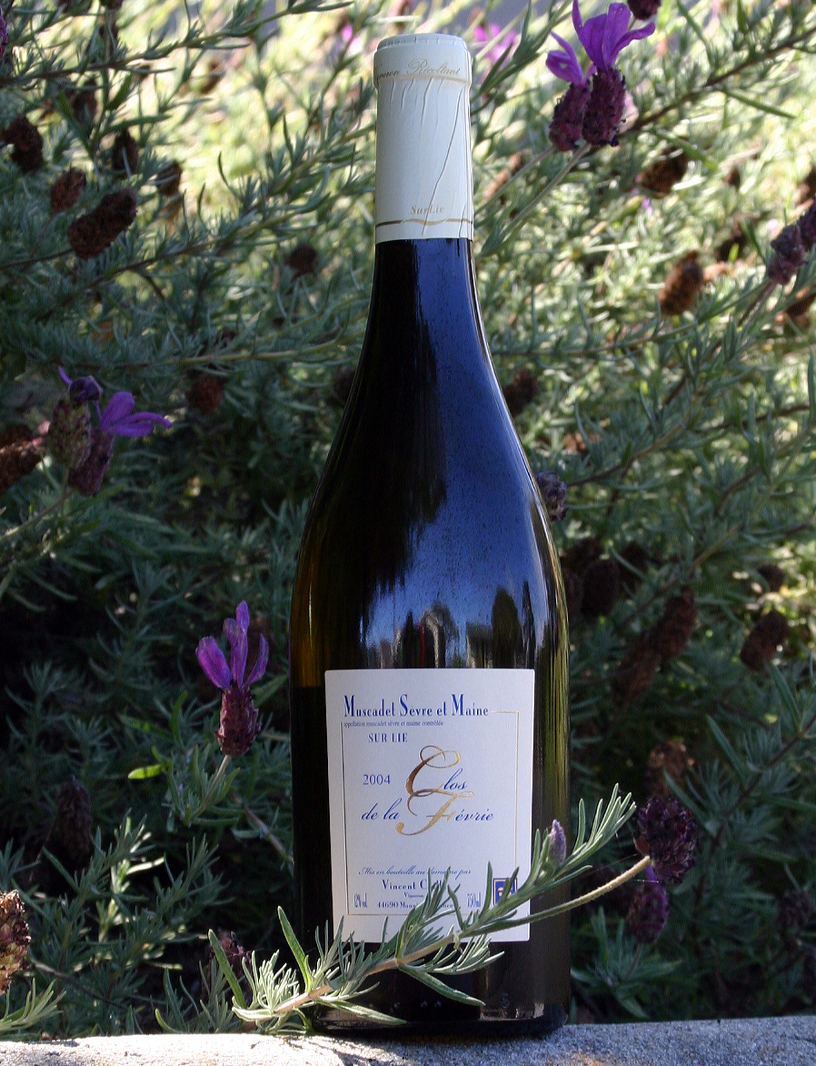 Domaine Du Fay D’Homme 2003 Le Clos de la Fevrie 750ml Wine Bottle