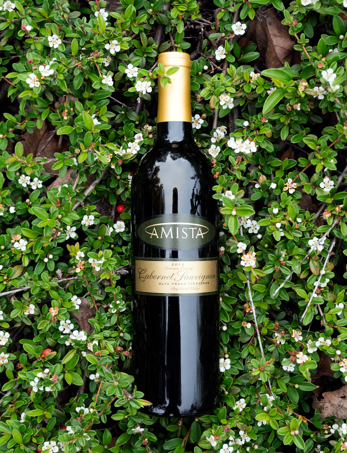 Amista Vineyards 2012 Alta Presa Vineyards Dry Creek Valley Cabernet Sauvignon 750ml Wine Bottle
