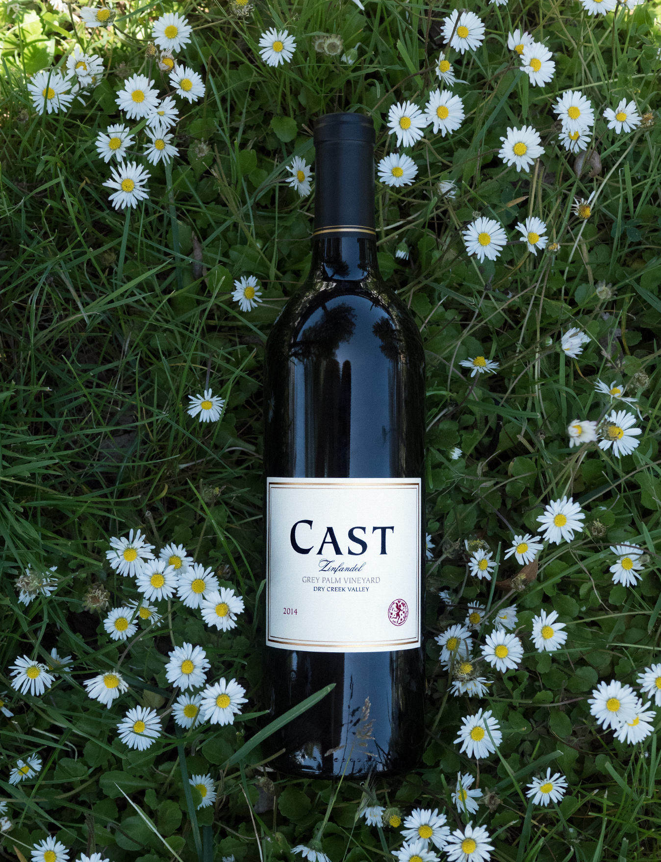CAST 2014 Grey Palm Vineyard Dry Creek Valley Zinfandel 750ml Wine Bottle