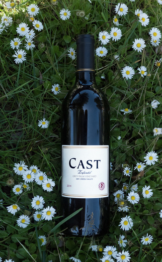 CAST 2014 Grey Palm Vineyard Dry Creek Valley Zinfandel 750ml Wine Bottle