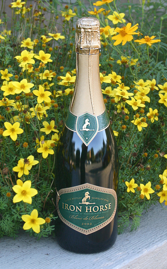 Iron Horse Vineyards 2002 Blanc de Blancs 750ml Wine Bottle