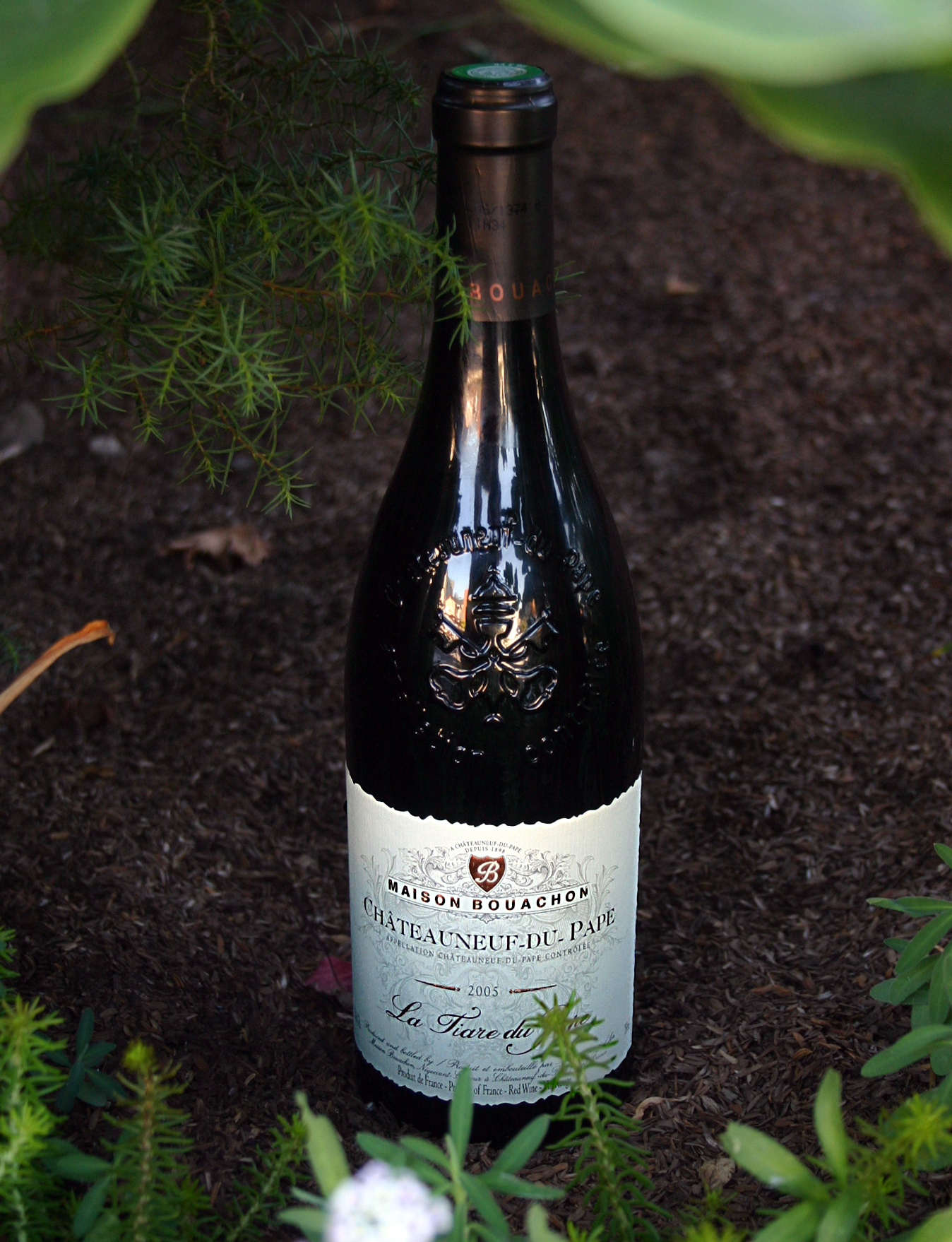 Skalli Grand Vin du Rhone 2005 La Tiare du Pape 750ml Wine Bottle