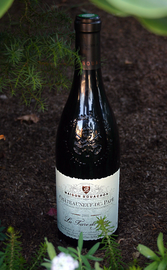 Skalli Grand Vin du Rhone 2005 La Tiare du Pape 750ml Wine Bottle