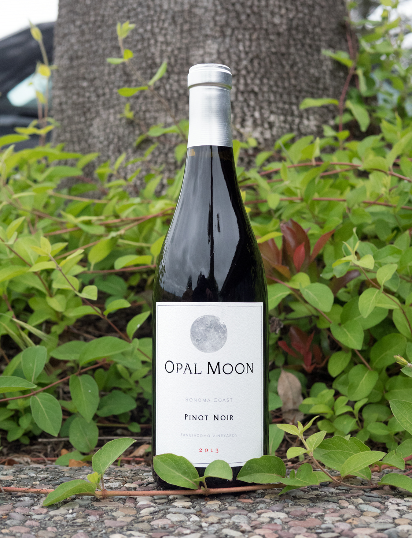 Bonneau 2013 Opal Moon Sangiacomo Vineyards Sonoma Coast Pinot Noir 750ml Wine Bottle