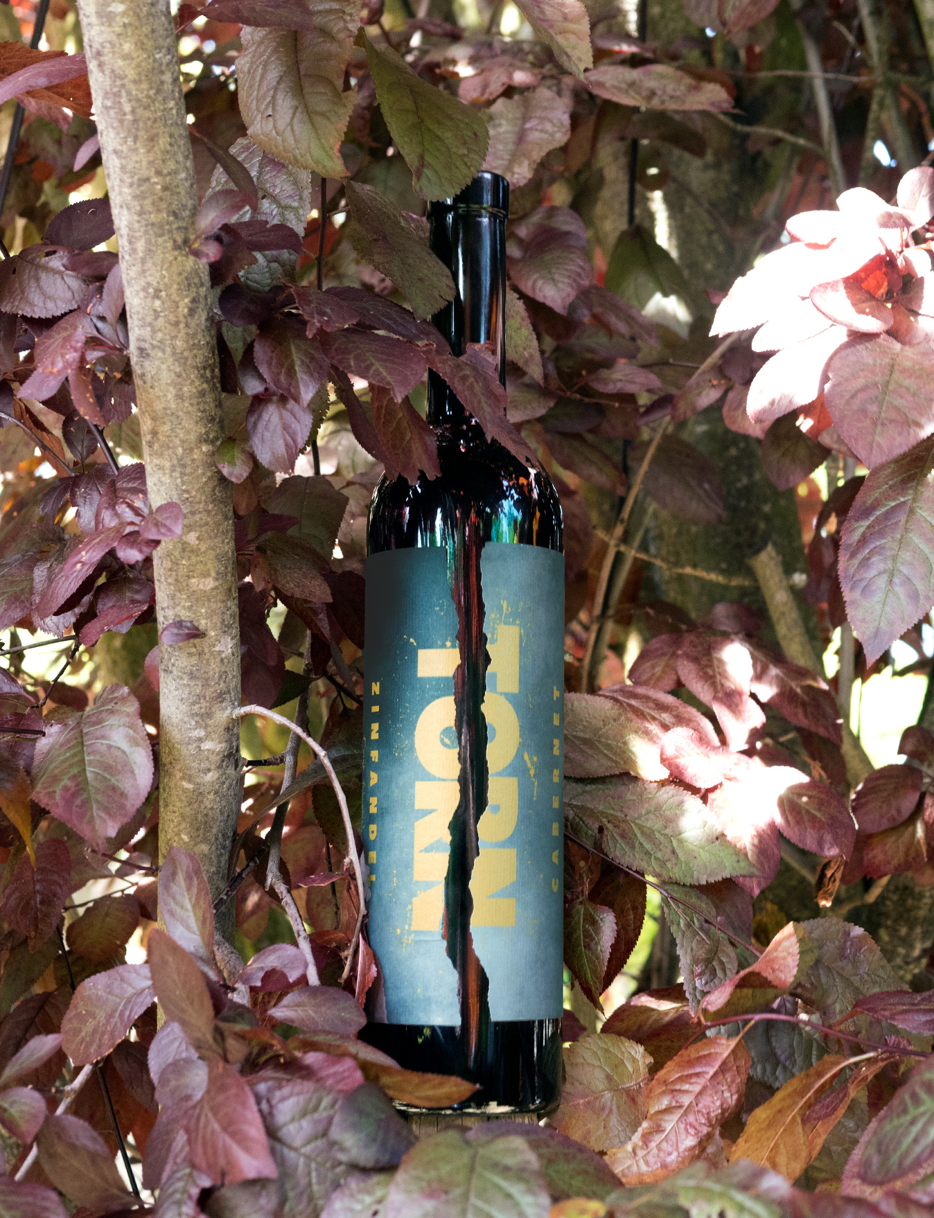 TORN 2015 ZIN X CAB Red Blend 750ml Wine Bottle