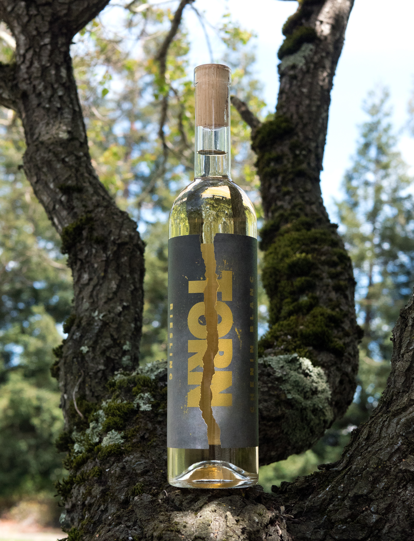 TORN 2016 CB X RIES White Blend 750ml Wine Bottle