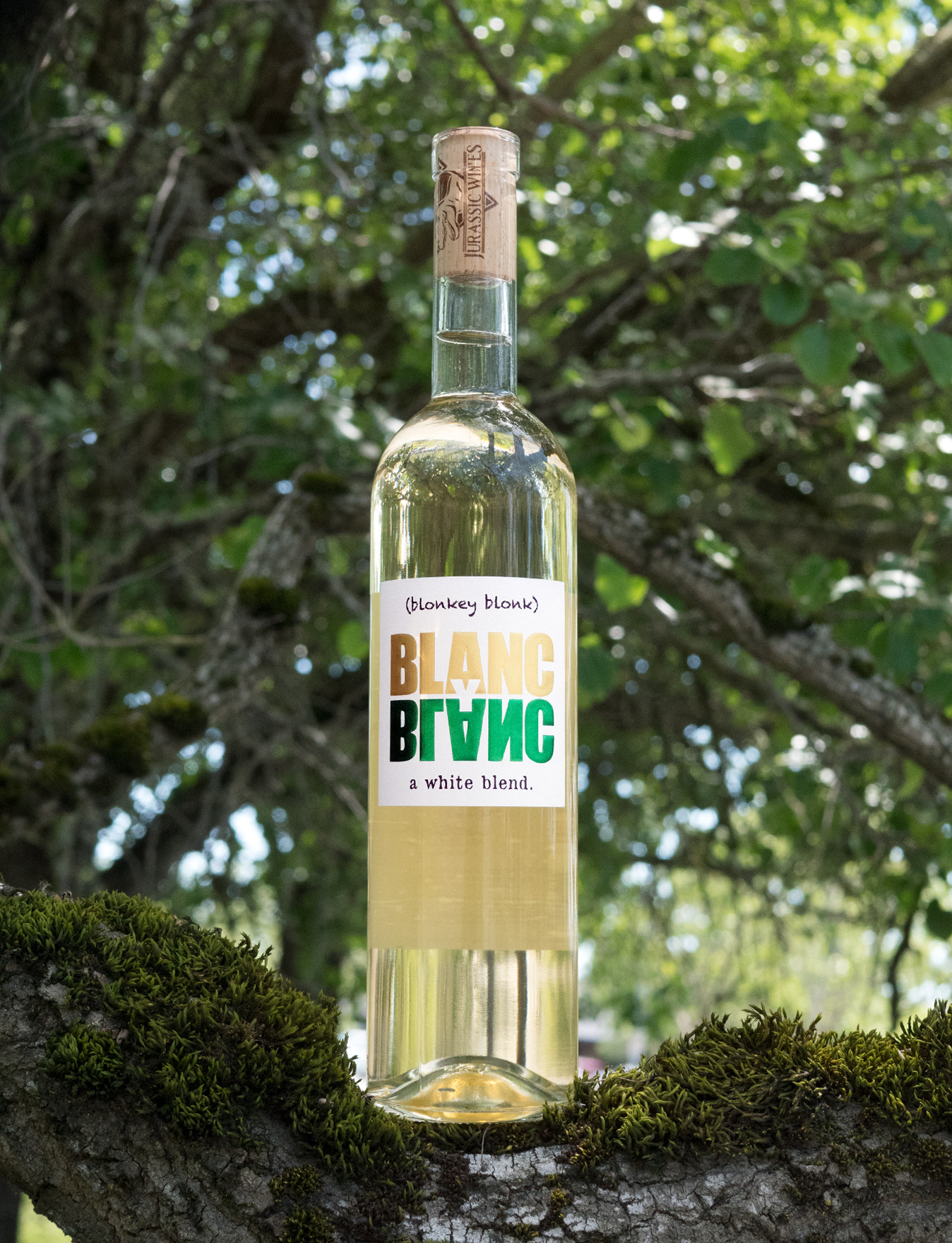 Blanc Y Blanc 2016 White Blend 750ml Wine Bottle