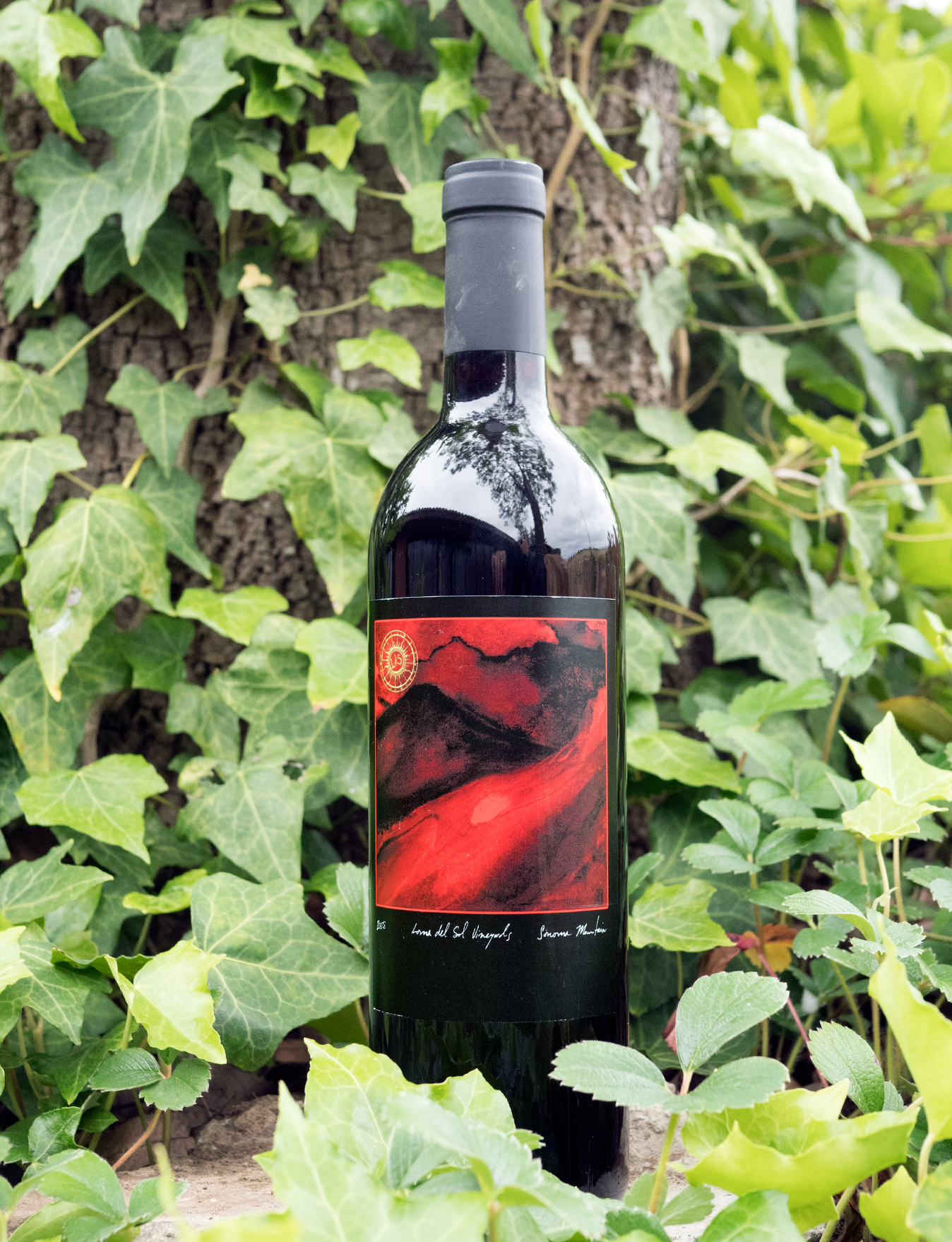 Chateau Jo 2008 Sonoma Mountain Red Wine 750ml Wine Bottle