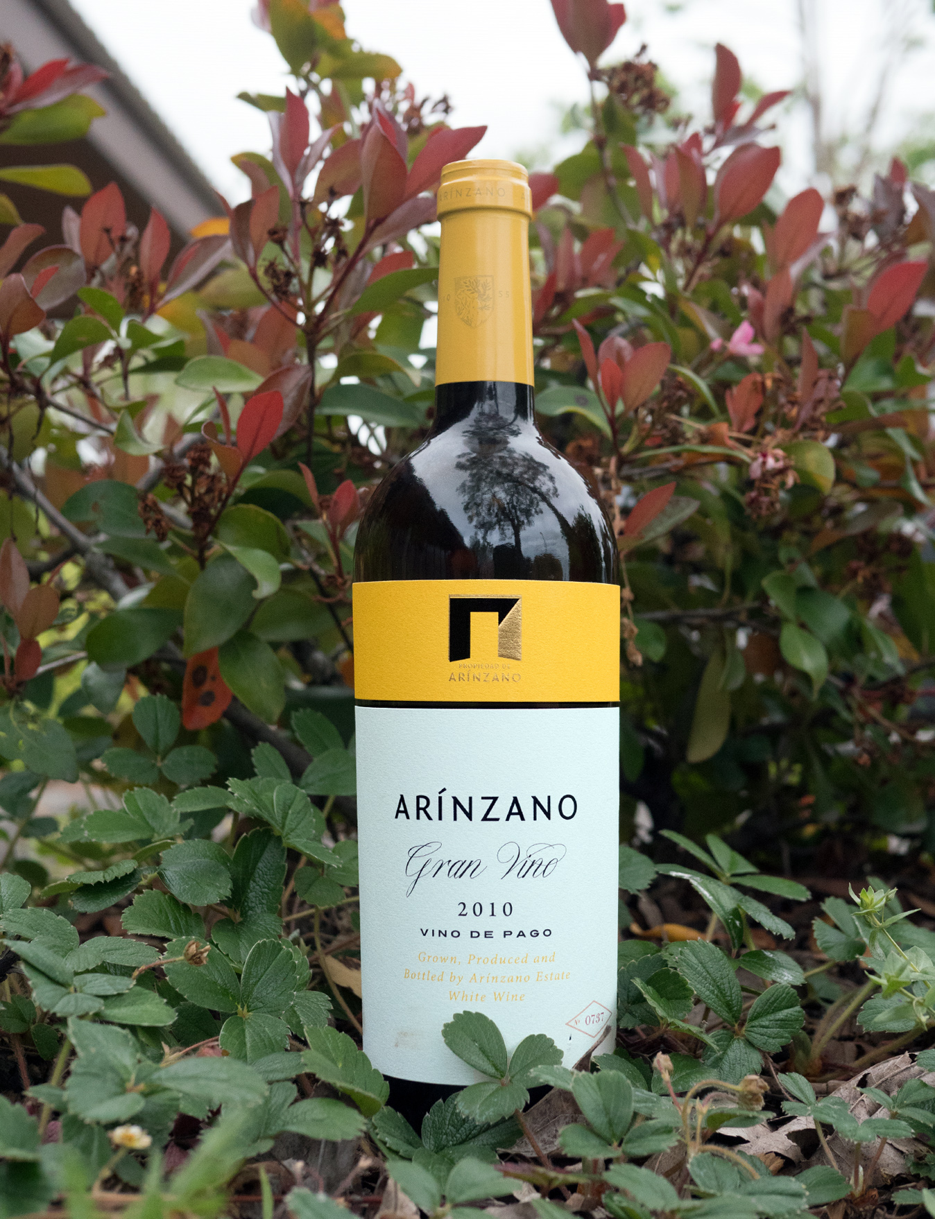 Arinzano 2010 D.O.P. Pago de Arinzano "Gran Vino Blanco" Chardonnay 750ml Wine Bottle