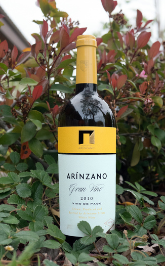 Arinzano 2010 D.O.P. Pago de Arinzano "Gran Vino Blanco" Chardonnay 750ml Wine Bottle