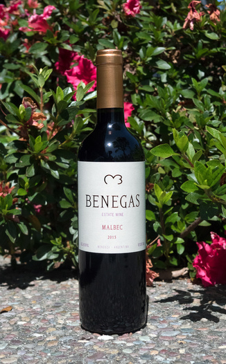 Benegas Lynch 2015 Estate Mendoza Argentina Malbec 750ml Wine Bottle
