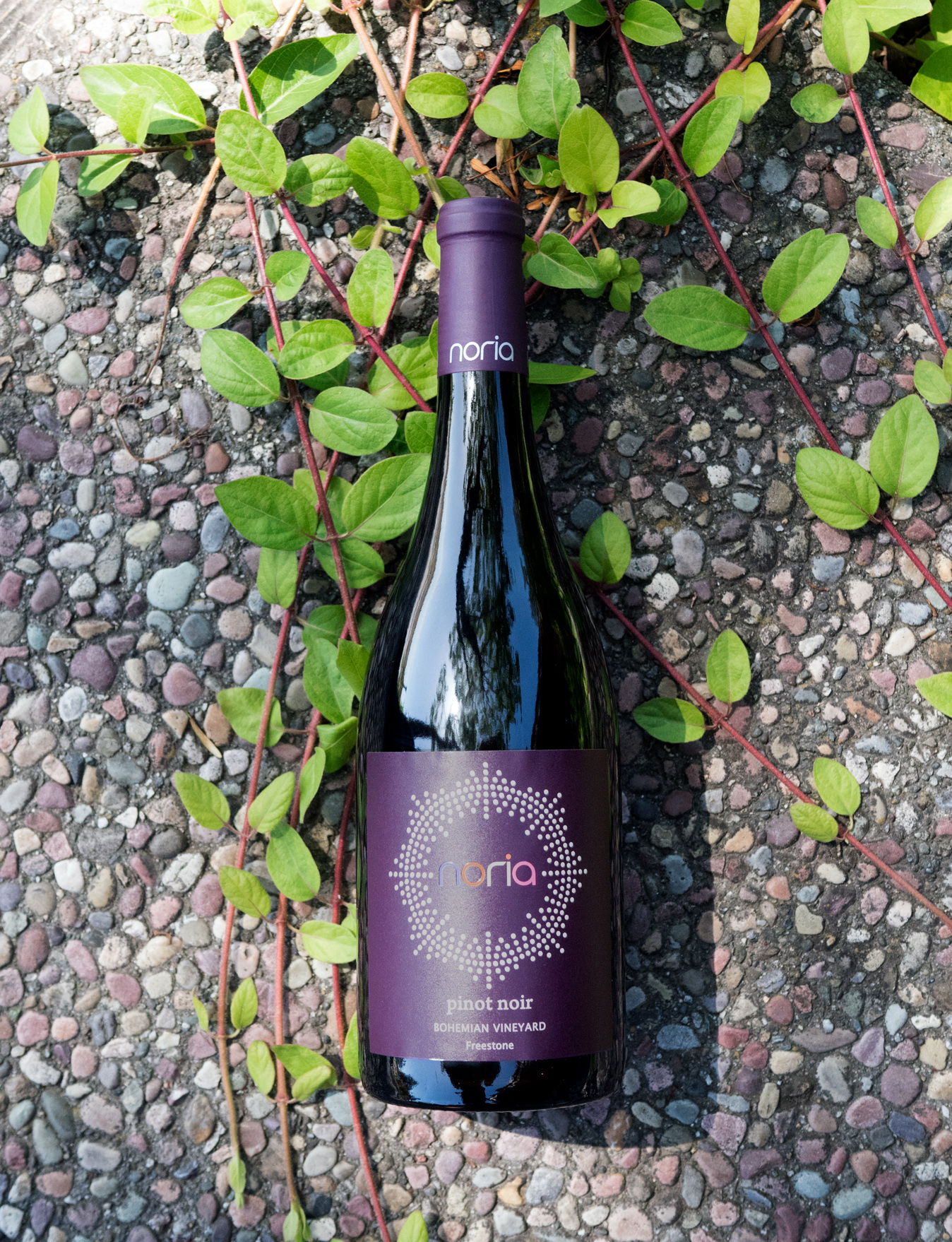 Noria 2015 Bohemian Vineyard Freestone Pinot Noir 750ml Wine Bottle