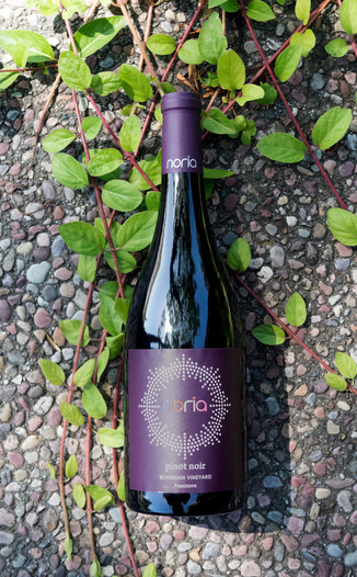 Noria 2015 Bohemian Vineyard Freestone Pinot Noir 750ml Wine Bottle