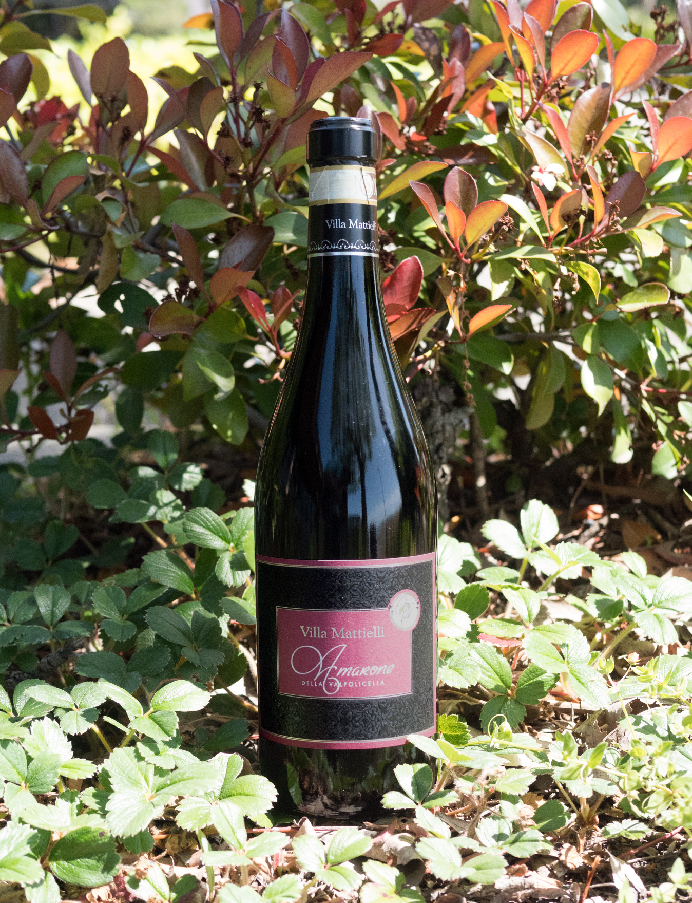 Villa Mattielli 2013 Amarone Della Valpolicella D.O.C.G. 750ml Wine Bottle