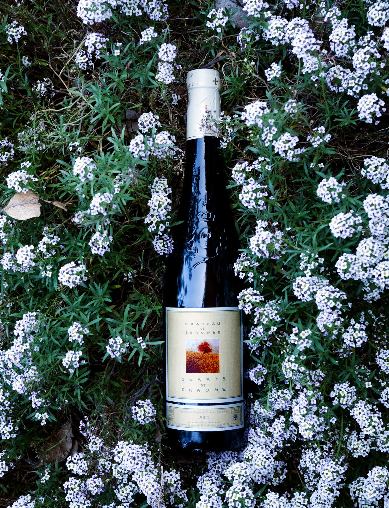 Chateau de Suronde 2004 Quarts de Chaume Chenin Blanc 750ml Wine Bottle