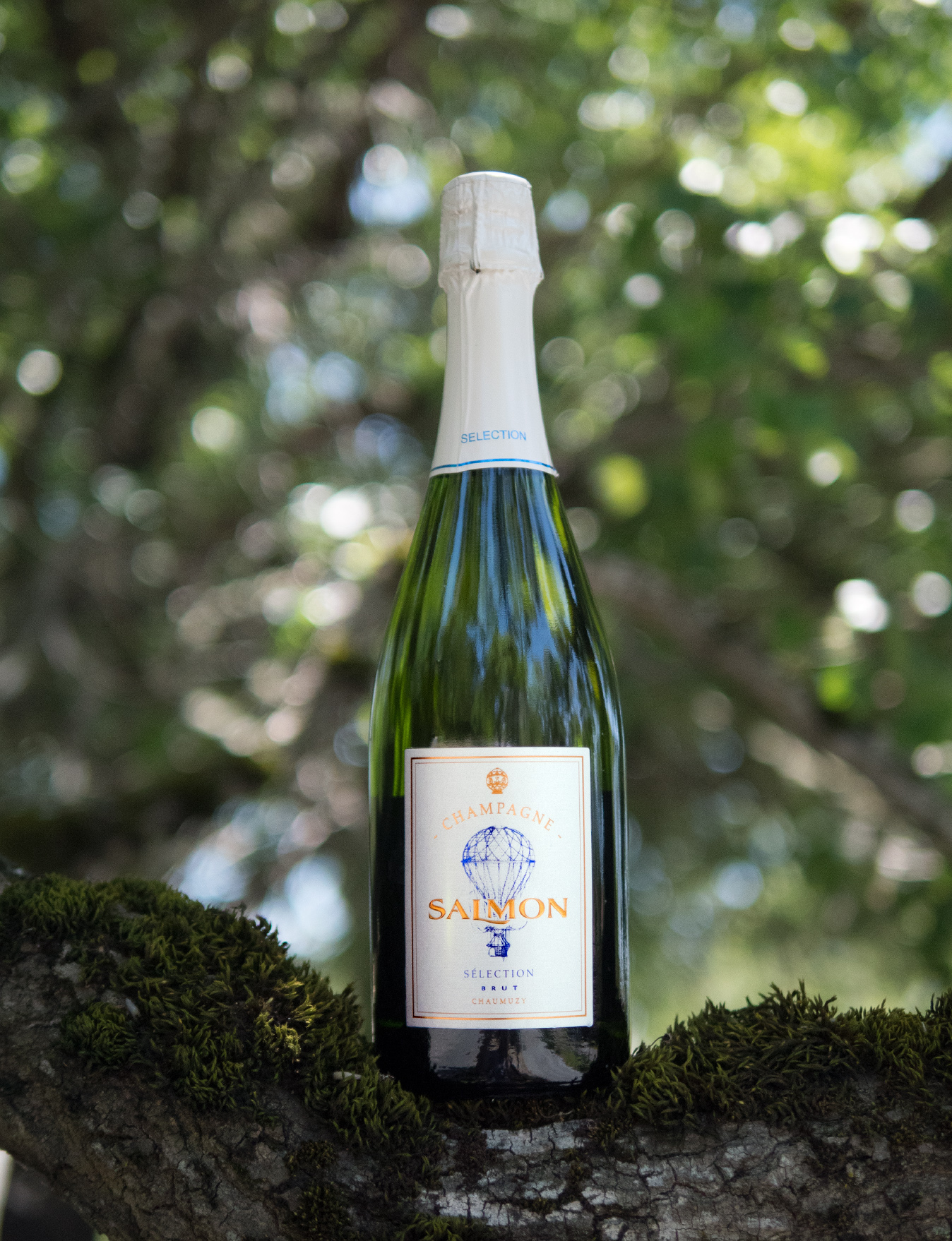 Champagne Salmon NV Sélection Montgolfière Brut Chamuzy Champagne 750ml Wine Bottle