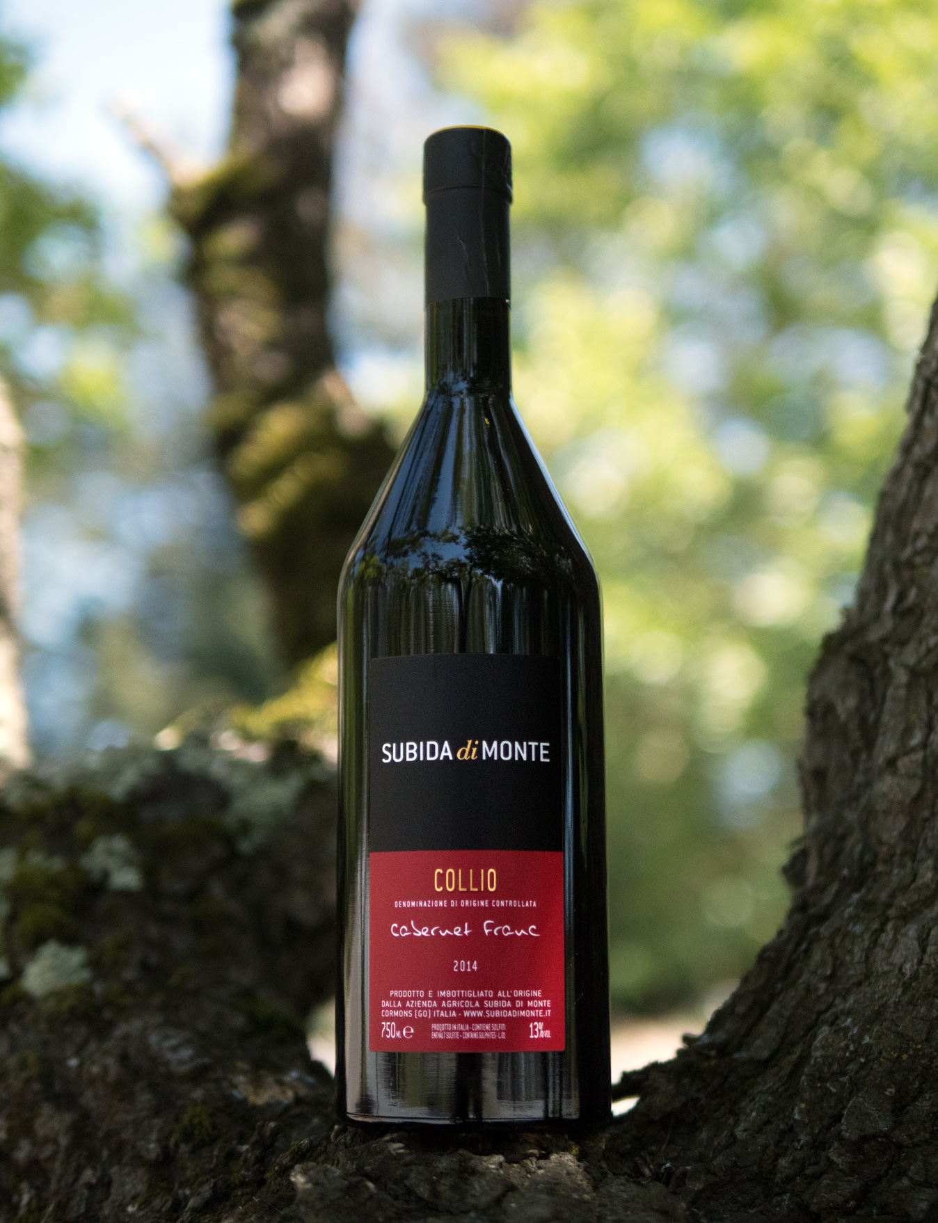 Subida di Monte 2014 Collio DOC Cabernet Franc 750ml Wine Bottle