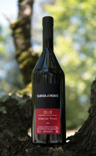 Subida di Monte 2014 Collio DOC Cabernet Franc 750ml Wine Bottle