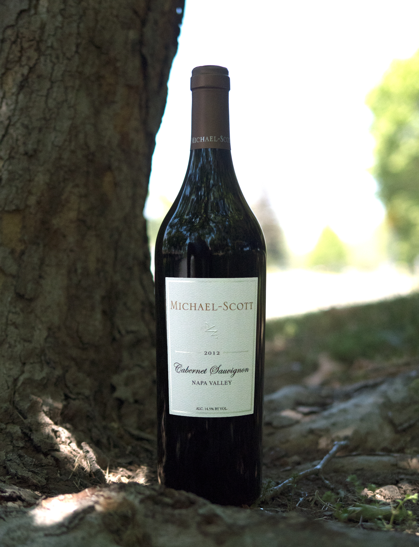 Michael-Scott 2012 Napa Valley Cabernet Sauvignon 750ml Wine Bottle