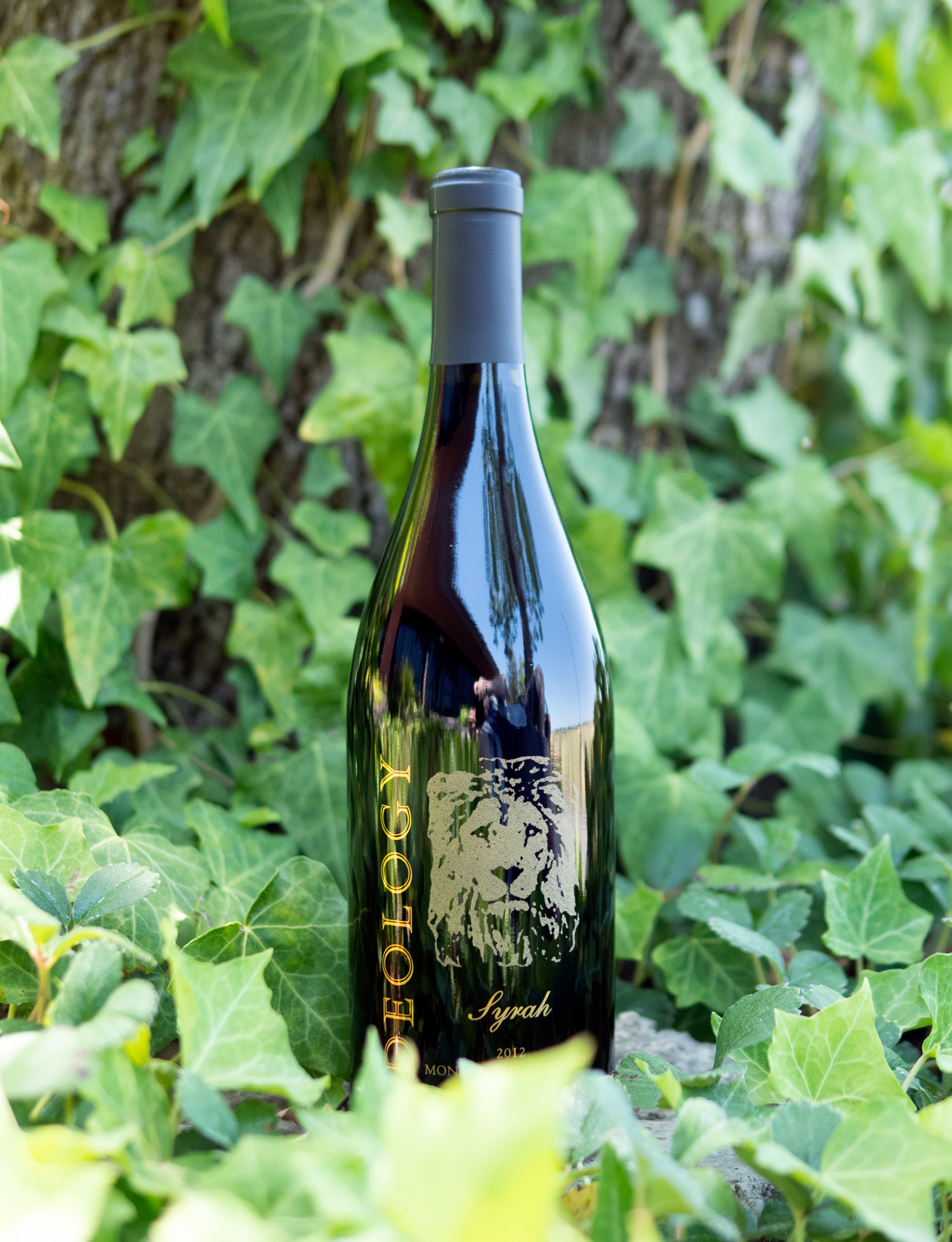 Ideology Cellars 2012 Money Road Vineyard Oakville Napa Valley Syrah 750ml Wine Bottle