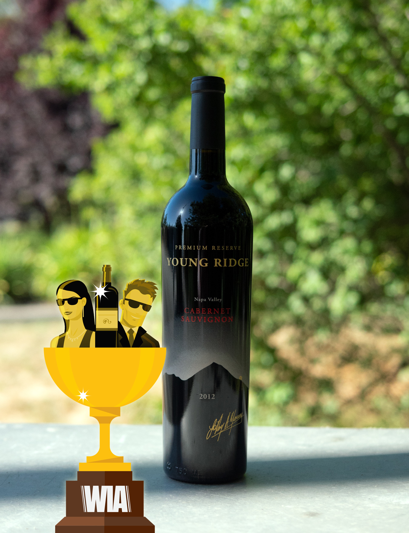 Young Ridge 2012 Premium Reserve Napa Valley Cabernet Sauvignon 750ml Wine Bottle