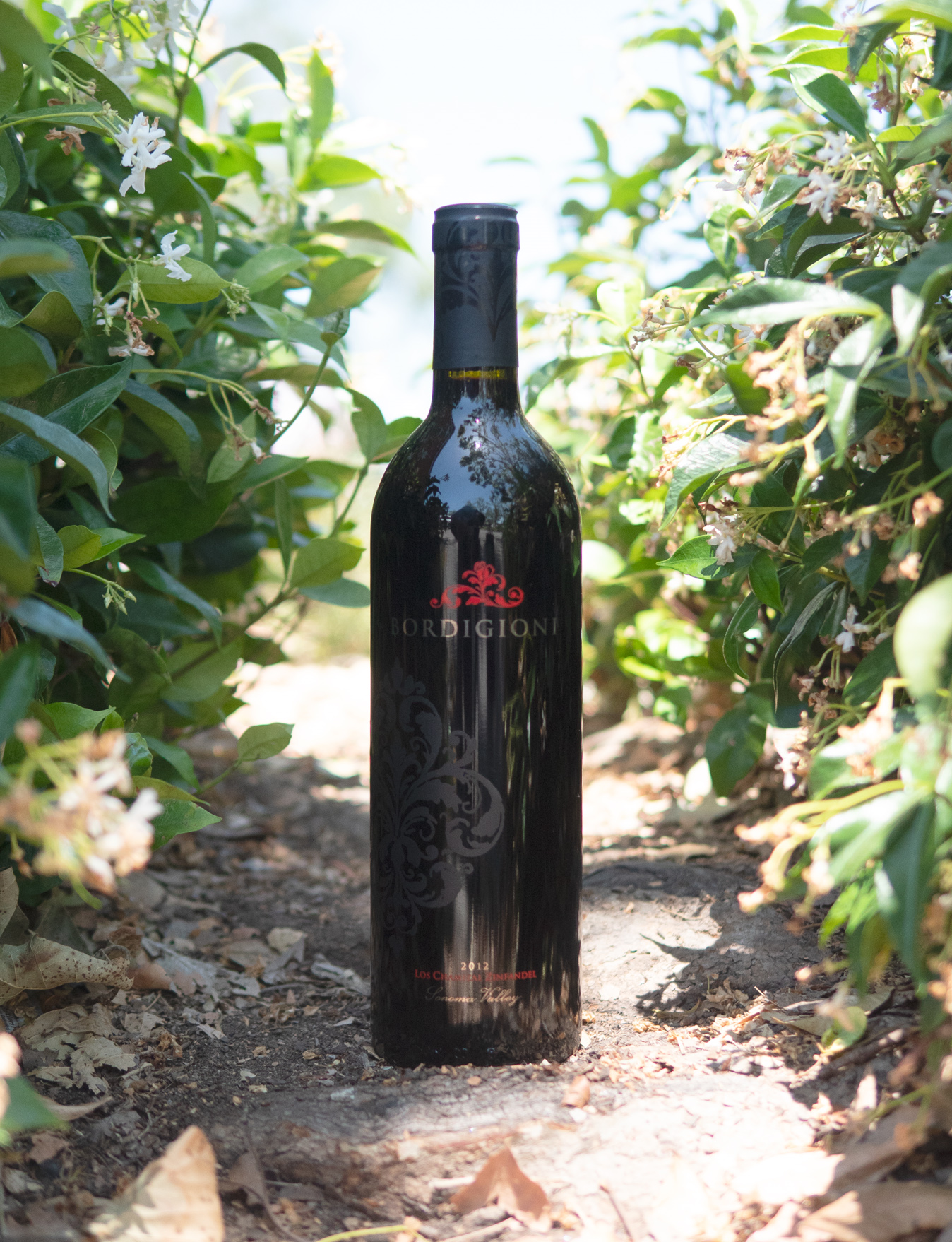 Bordigioni 2012 Los Chamizal Vineyard Sonoma Valley Zinfandel 750ml Wine Bottle