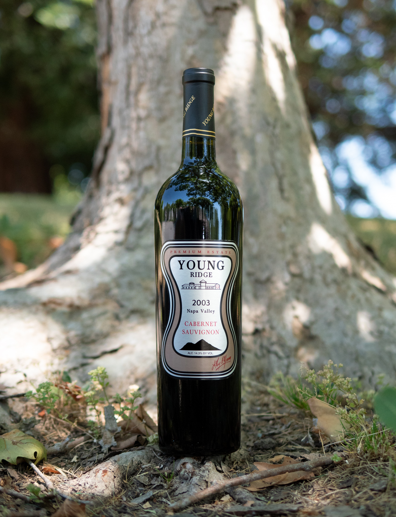 Young Ridge 2003 Premium Estate Napa Valley Cabernet Sauvignon 750ml Wine Bottle