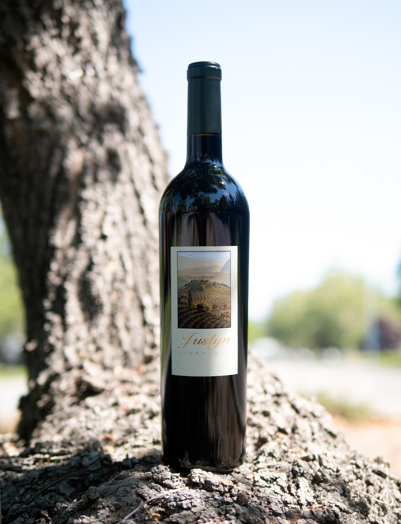 Juslyn Vineyards 2015 Perry's Blend Spring Mountain Cabernet Blend 750ml Wine Bottle