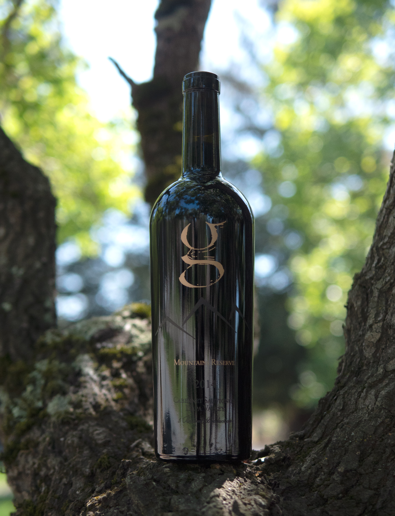 G Wine Cellars 2014 Mountains Reserve Napa Valley Cabernet Sauvignon 750ml Wine Bottle