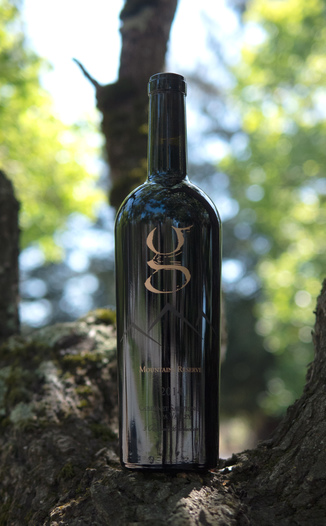 G Wine Cellars 2014 Mountains Reserve Napa Valley Cabernet Sauvignon 750ml Wine Bottle
