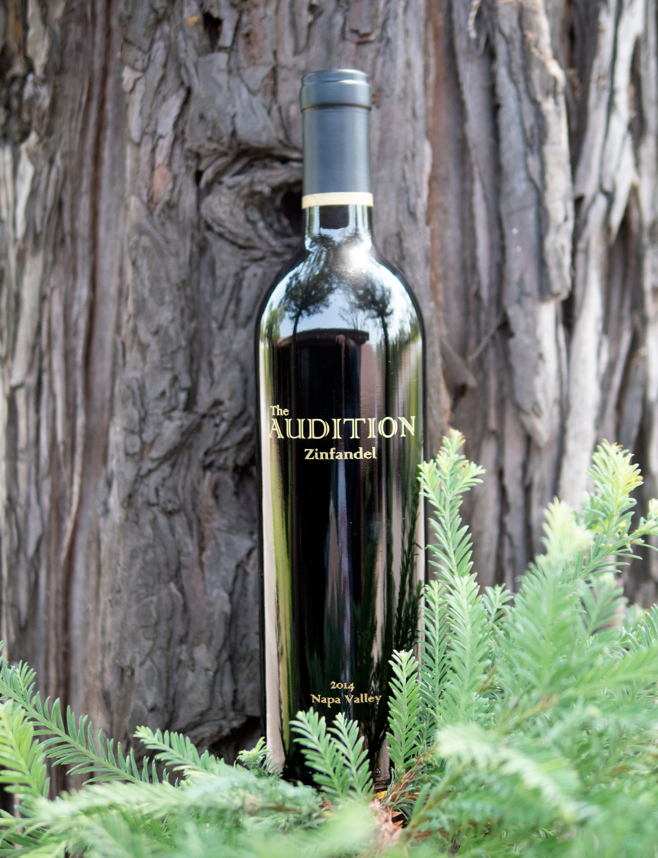 Alyris Vineyards 2014 "The Audition" Mount George Estate Napa Valley Zinfandel 750ml Wine Bottle