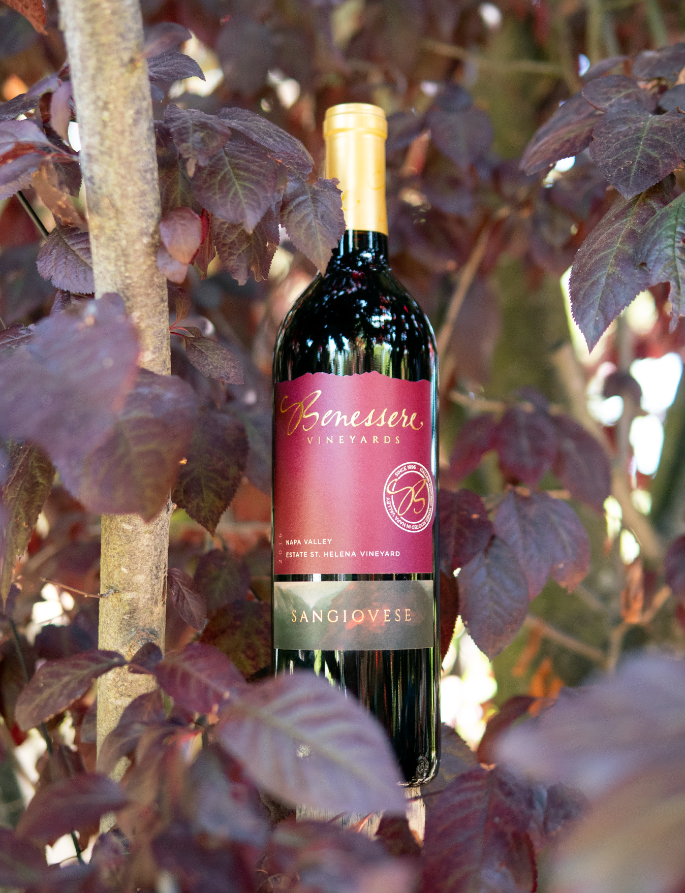 Benessere Vineyards 2016 Estate St. Helena Vineyard Napa Valley Sangiovese 750ml Wine Bottle