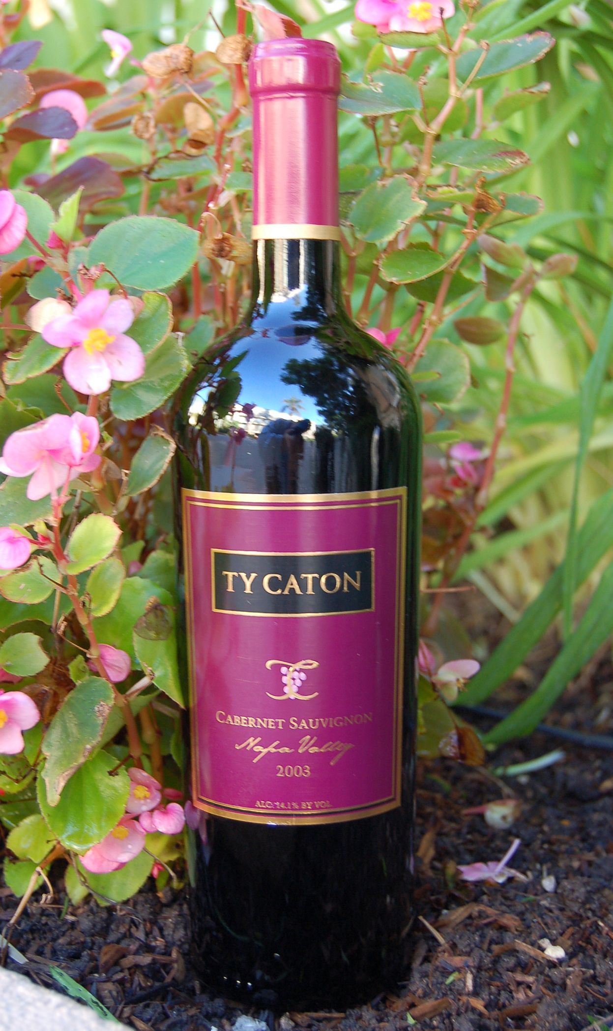 Ty Caton 2003 Napa Valley Cabernet Sauvignon 750ml Wine Bottle
